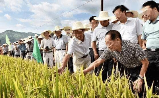 袁隆平孙女上幼儿园,老师问:爷爷是干什么的?孙女的回答笑翻了