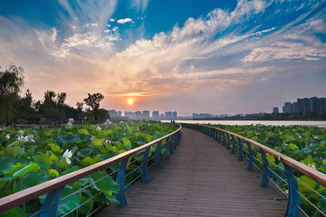 高铁小时达,去遂宁探访观音之乡,漫步莲岛,古寺探幽,美味随行_古镇街_瓷器_历史
