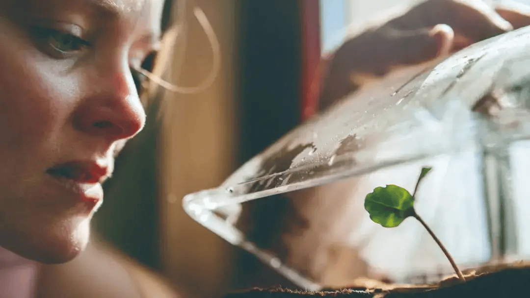 劳拉·贝洛芙_研究_毛毛虫