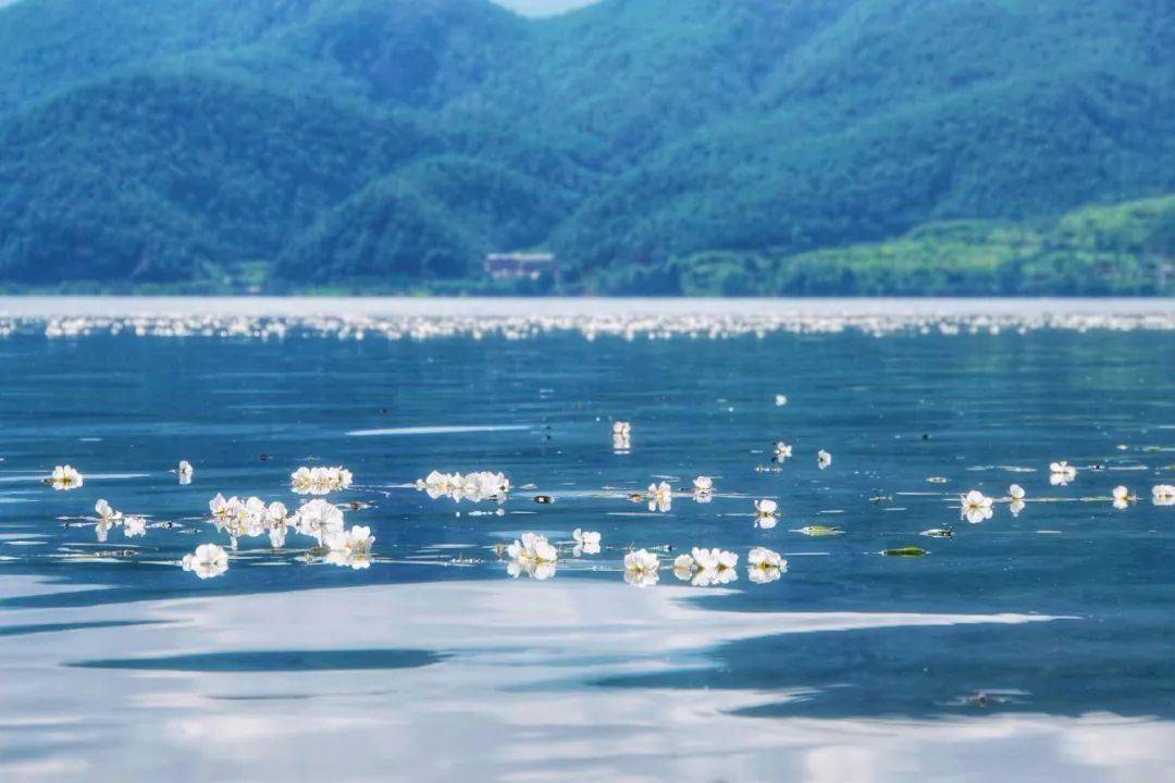 图片[11]-十二月最佳旅行地非它莫属，看银杏逛古城吃美食，现在去正好！ -华闻时空