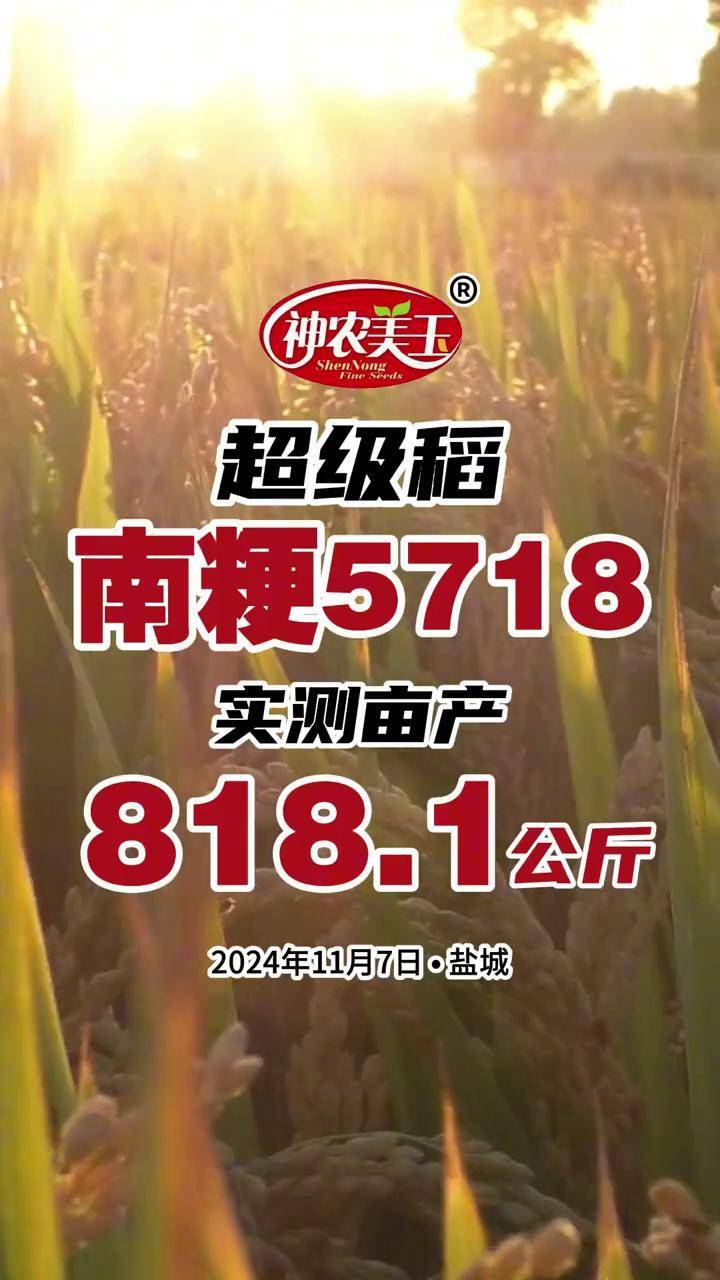 南粳5718品种介绍图片