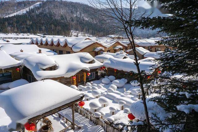 图片[13]-一路向北去看雪，6大赏雪胜地不可错过！国内雪景天花板都在这！ -华闻时空