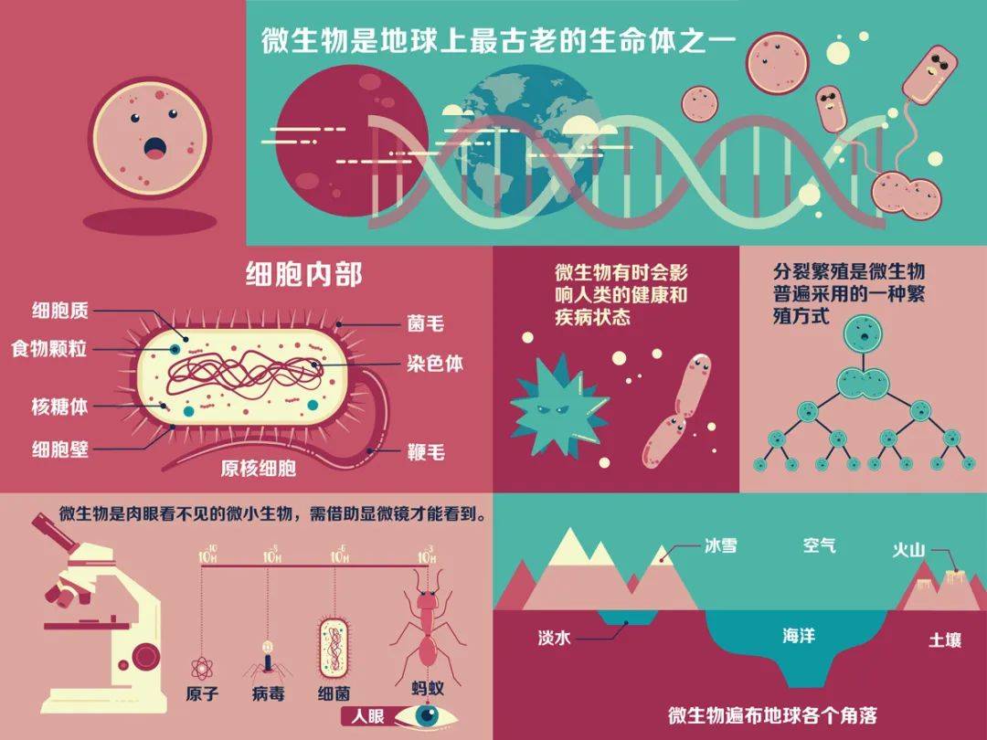 細菌. 康和健｜顧小培| by 信報財經新聞| 信報財經新聞HKEJ | Medium, image size:1080x810