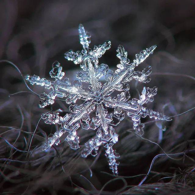 雪花放大一亿倍图片