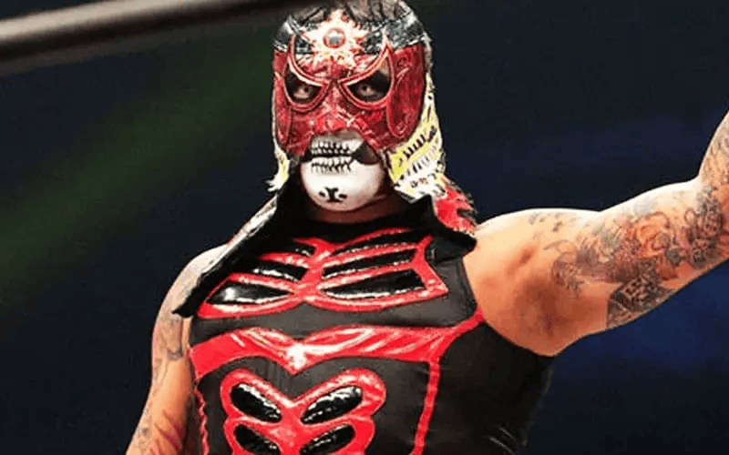 尼基贝拉和前夫彻底决裂,wwe女星大秀比基尼照!