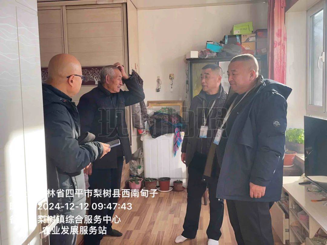 统筹安排部署 有序推动落实——梨树镇12月12日重点工作纪实