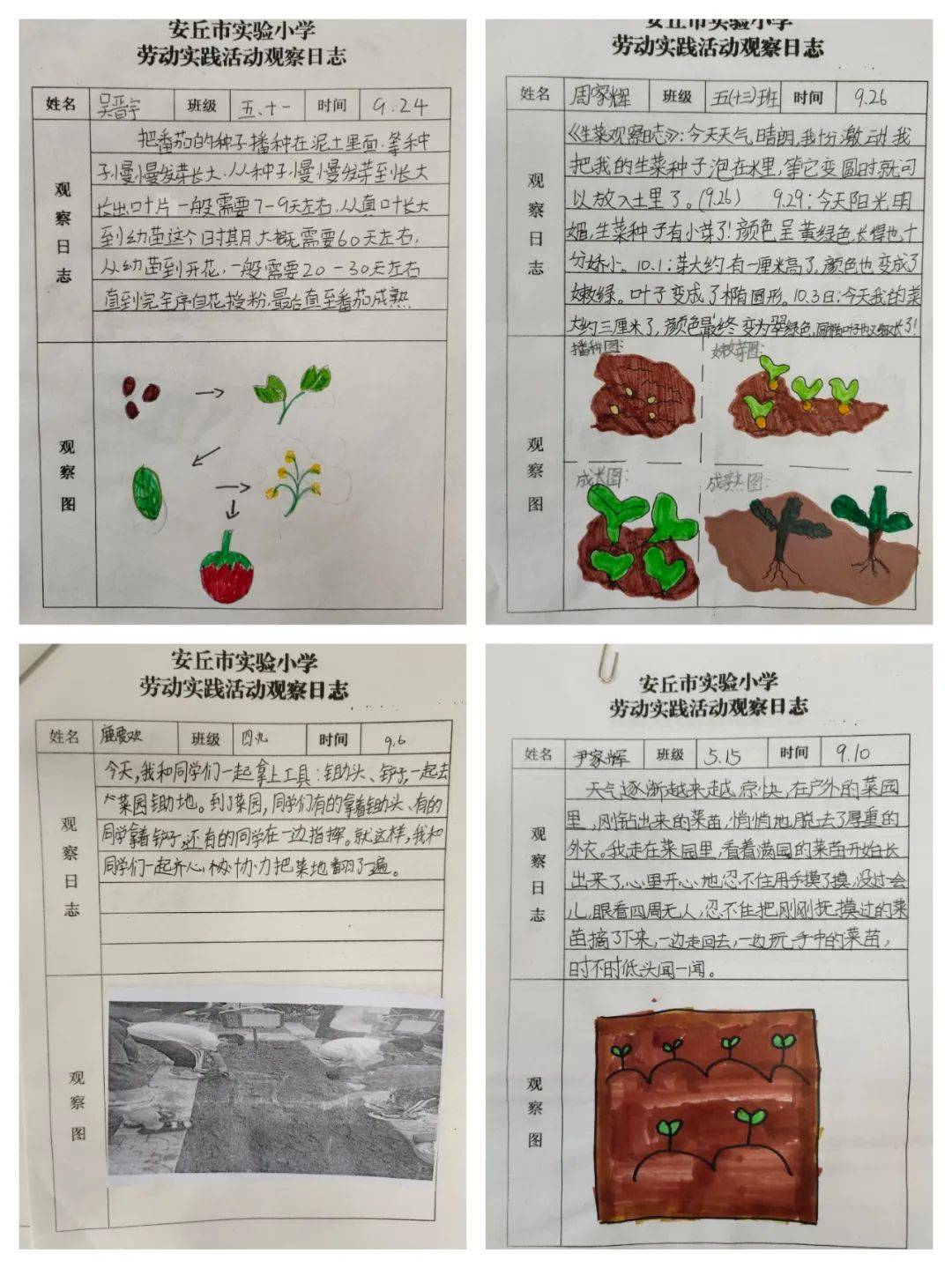 耕耘实践沃土收获成长硕果