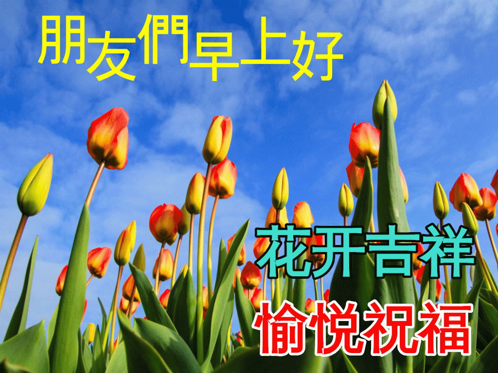 12月16日最漂亮早上好动态表情图片大全,早晨好动图美图大全!