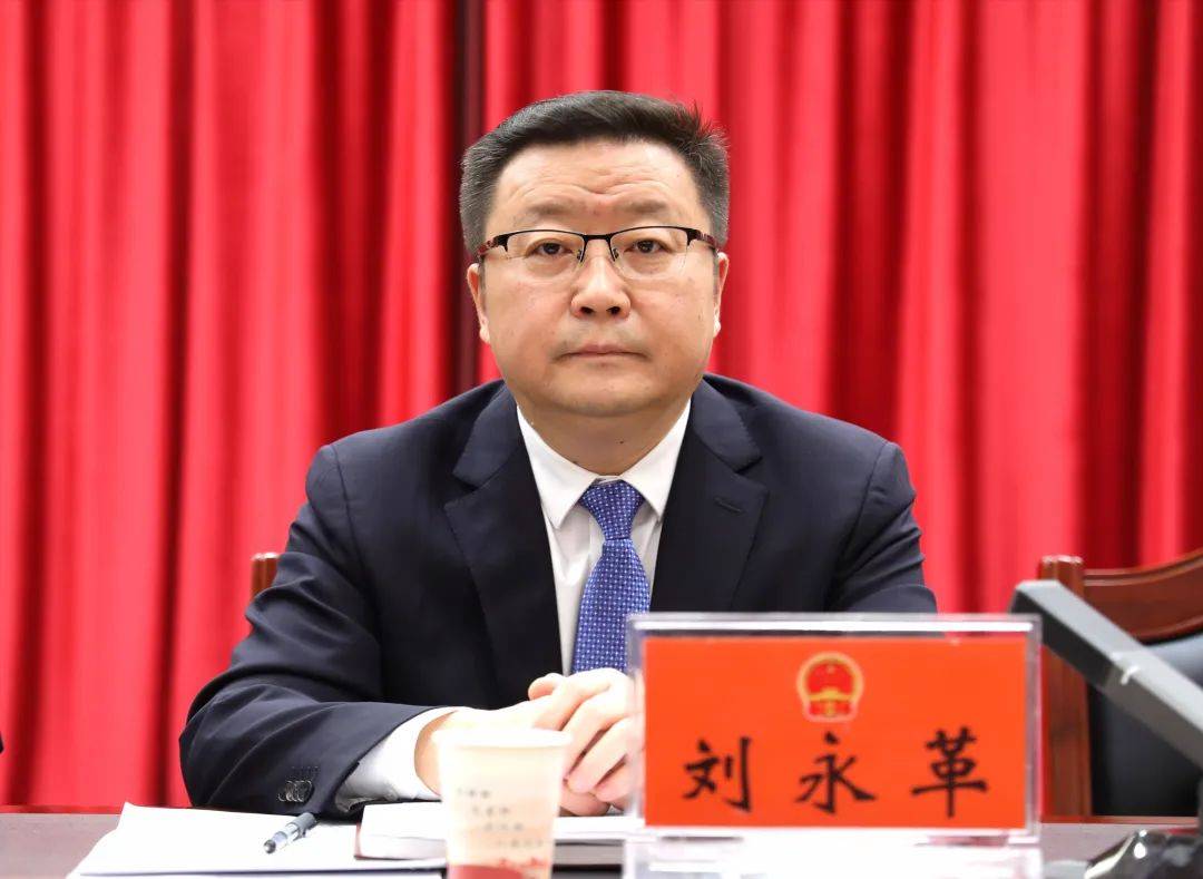 聚焦人代会刘永革参加宕昌县成县代表团审议