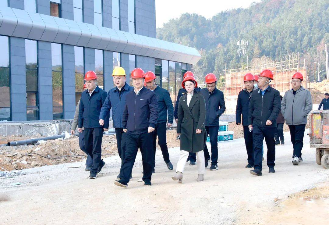 县委书记龙小东,县委副书记,县长