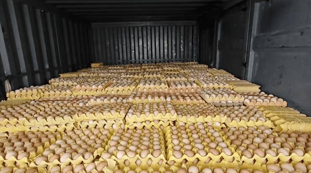 运输车得多努力,鸡蛋才不会碎