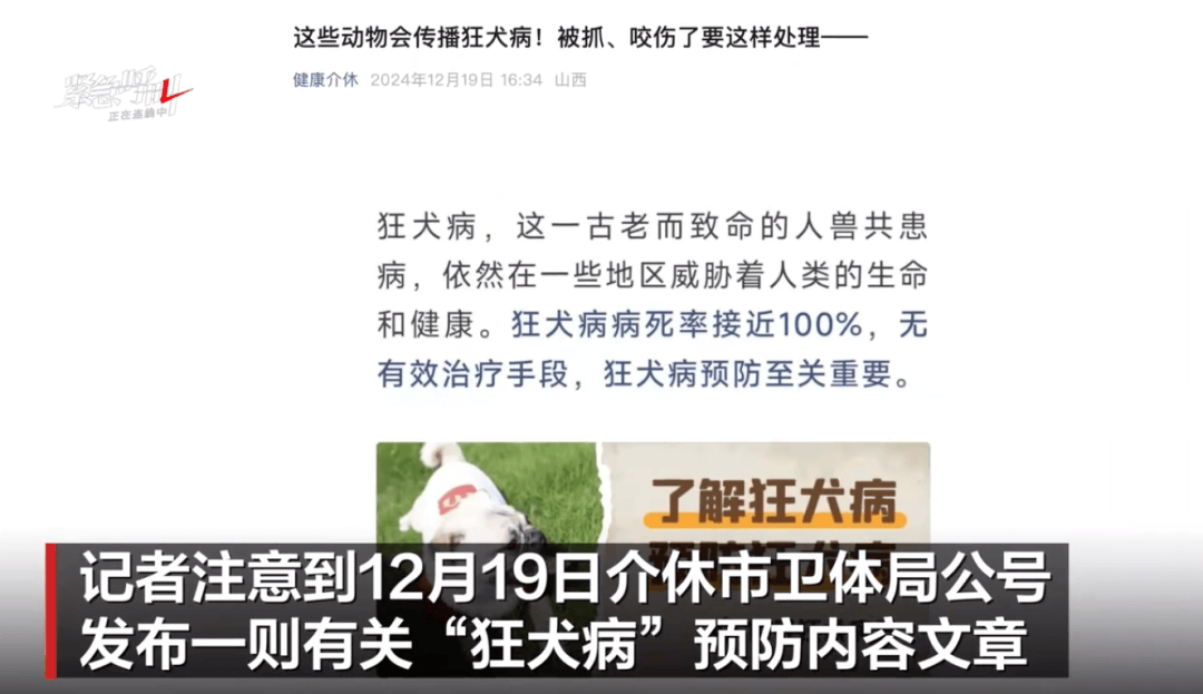 山西一男子被狗咬伤4个月后狂犬病发作死亡，镇书记：无法确定是哪只狗