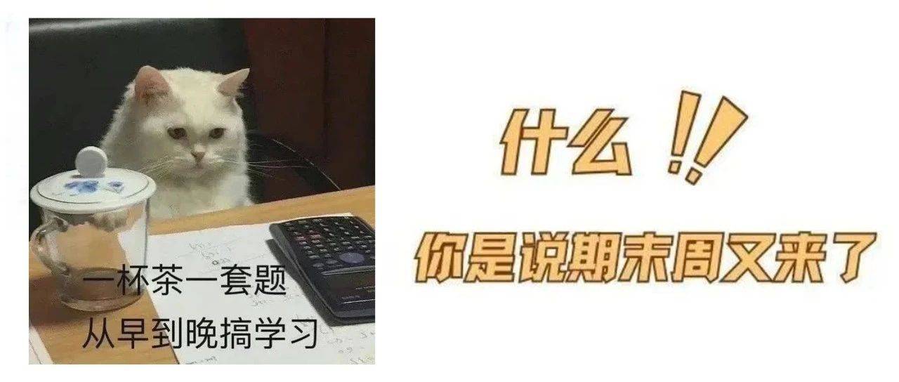 期末周:我来了!大学生:在学了在学了_复习_短时间内_状态