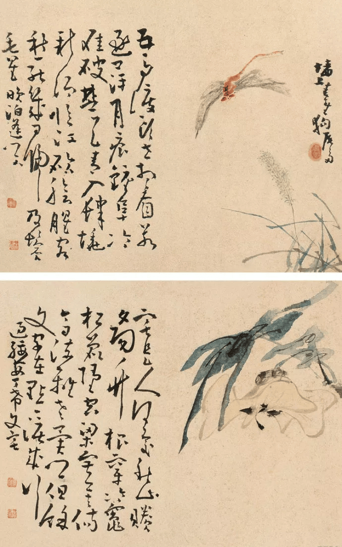 东海布衣 扬州怪杰——黄慎