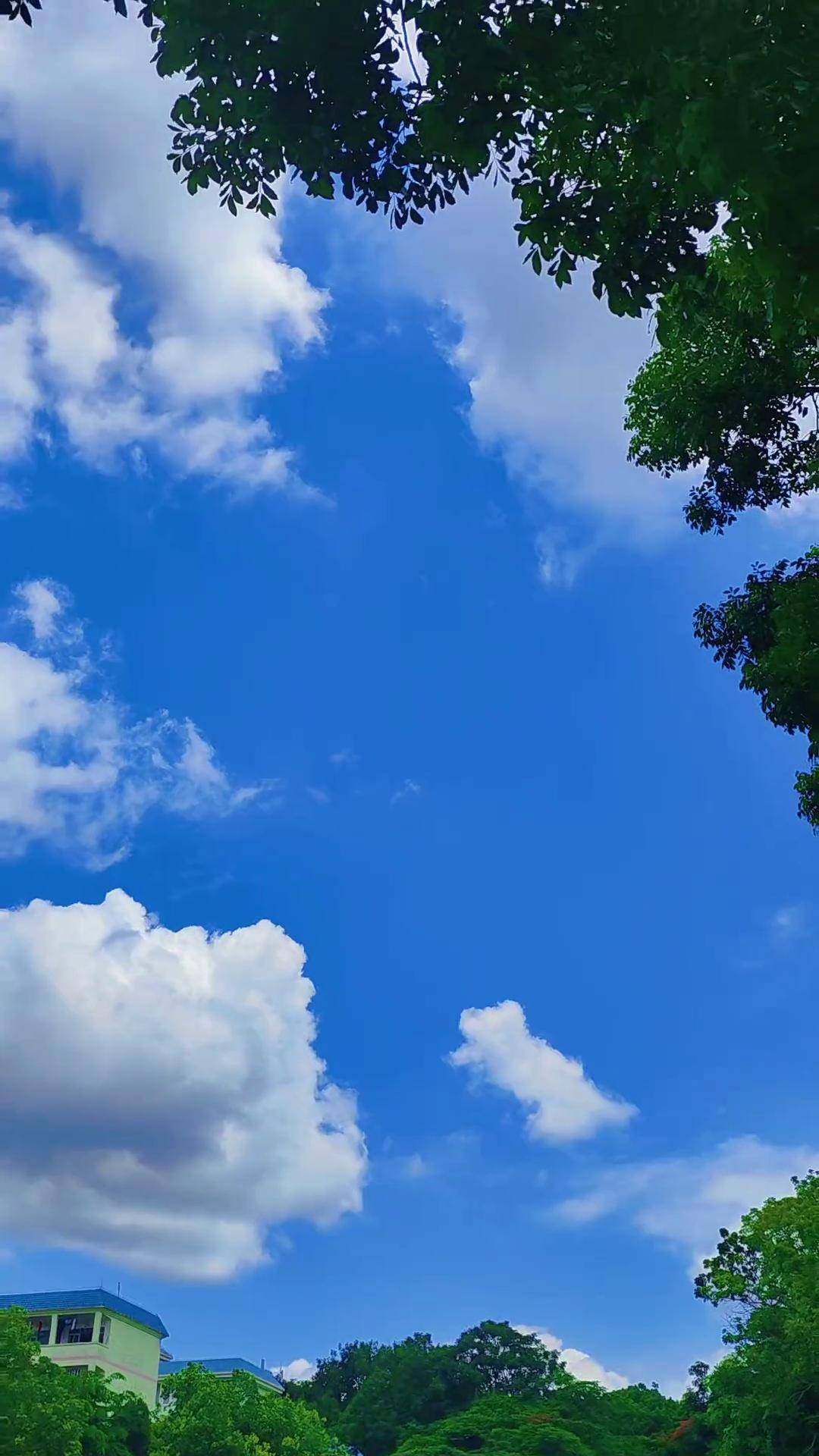 1080_1920竖版 竖屏gif 动态图 动图