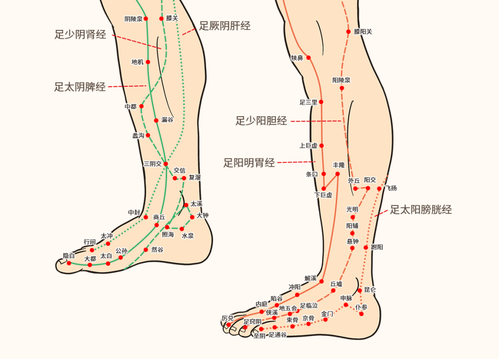 脚后跟总是痛,你可能是患上了"跟痛症"