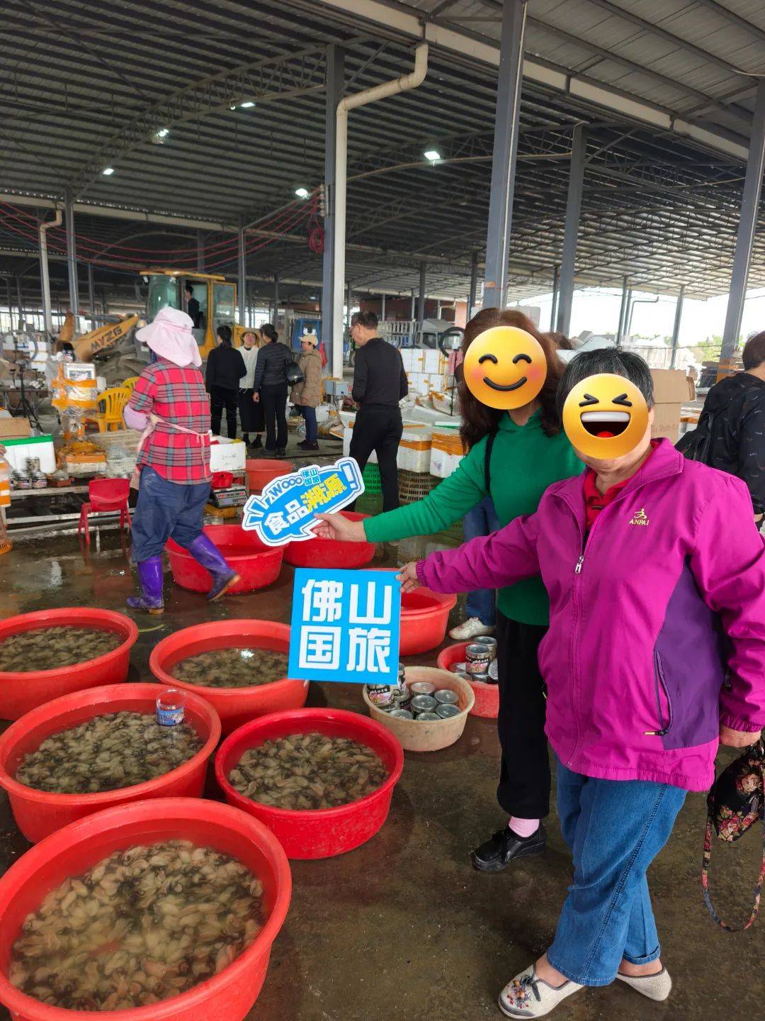 眼见为实好物溯源系列之旅第一站精彩回顾协农号邮你同行之台山生蚝