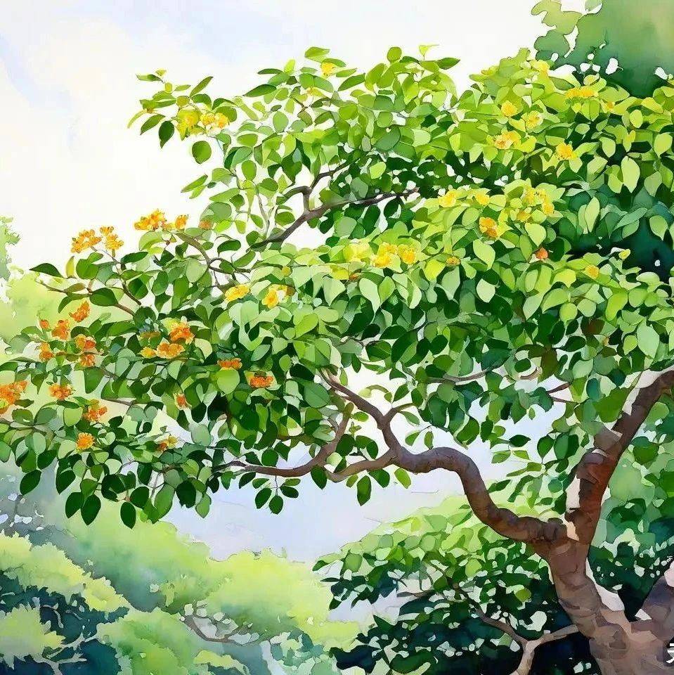 丁莉娅丨构树与桂树_李商隐_红果_果子