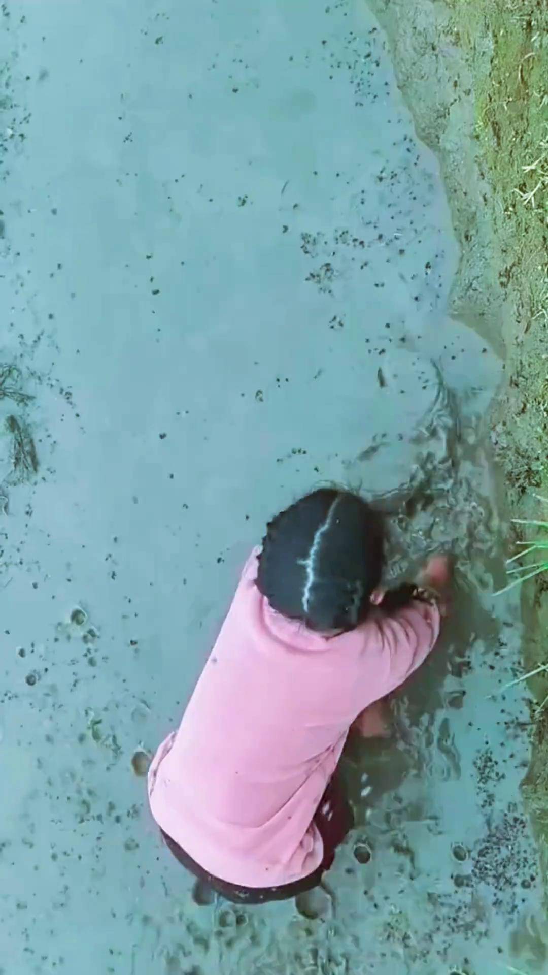 小时候逮鱼的场景你一定不陌生吧!应该所有的7080后都经历过