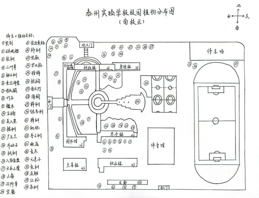 这份地图不仅清晰标注了各种植物在校园中的分布位置,还融入了同学们