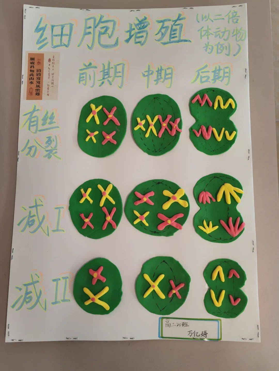 五华县高级中学举办第四届生物模型制作活动