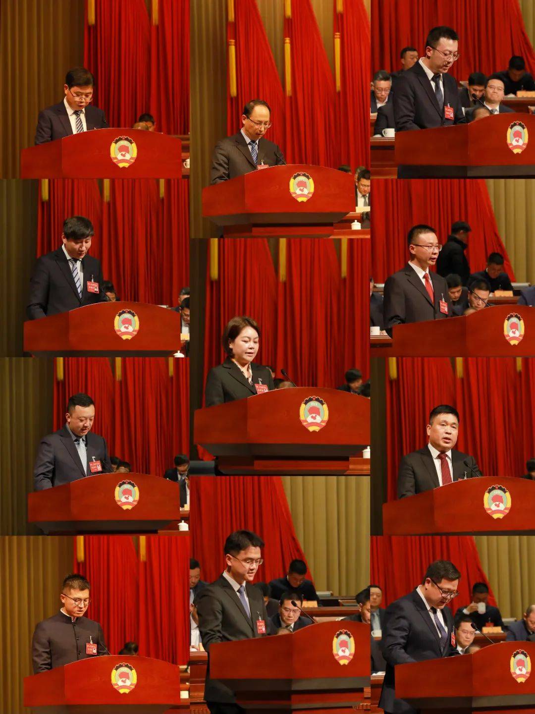 区政协十六届四次会议举行大会发言