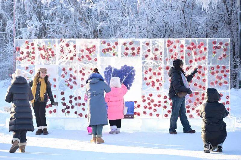 开元体育平台关注 一场国际赛事 点燃冰雪激情——第23届中国长春净月潭瓦萨国际滑雪节开幕侧记(图3)