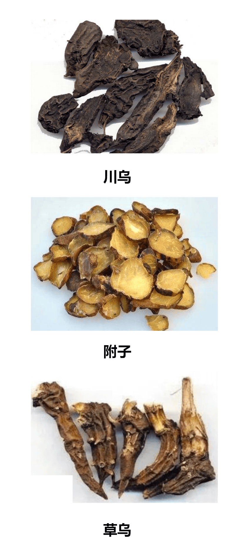 中药乌头碱图片