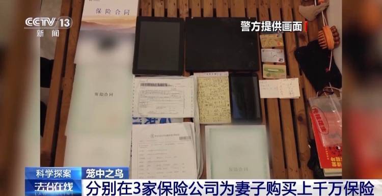 为骗巨额保金推妻坠海 案件多个细节公布令人毛骨悚然