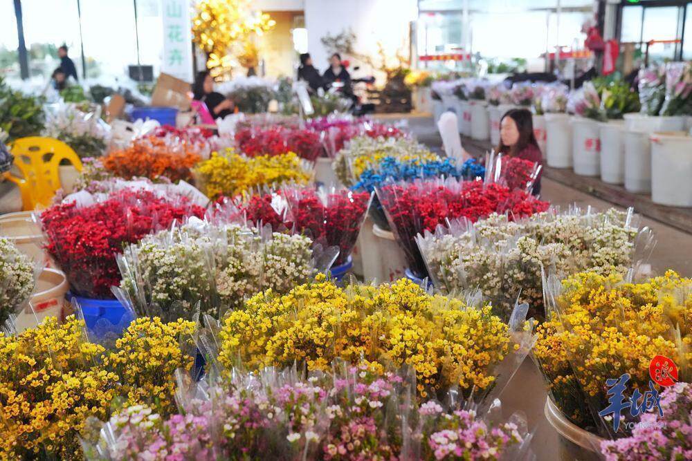 果博平台广州荔湾开启水陆花市盛宴“双花篮”将亮相传统迎春花市｜聚“荔”新发展⑮(图11)