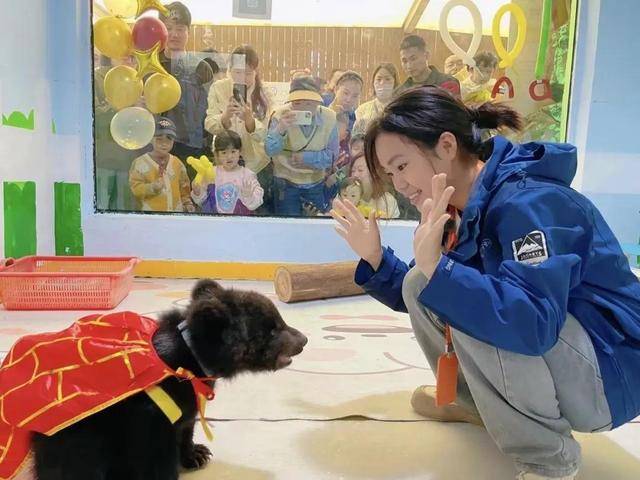 女饲养员与200斤棕熊“打架”引网友担心，当事人回应