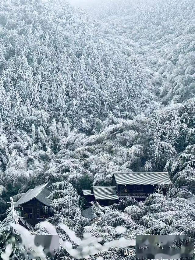 云冰山2025年首场雾凇!一脚跨两省南方雪乡云冰山赏冰挂/观云海~_景区_梦幻_冰雪