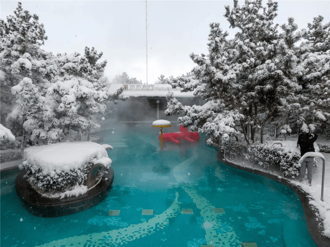 泡温泉,赏天鹅,精彩齐鲁!最快15号出发游山东!