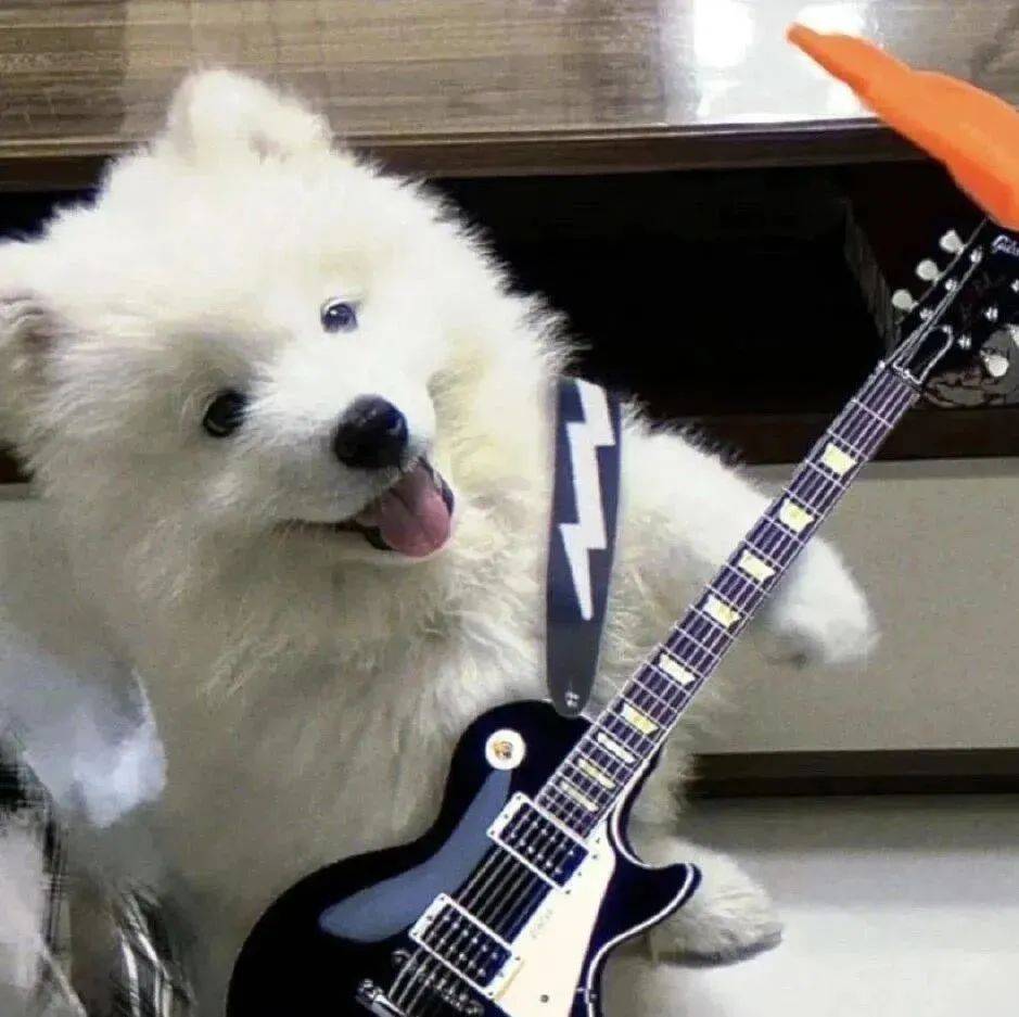 低像素狗狗头像