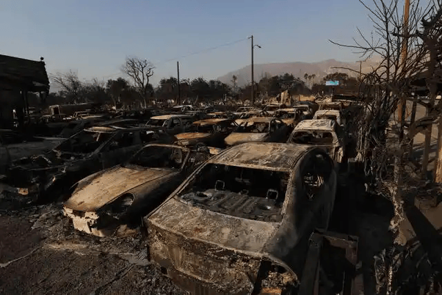 加州山火前几周,保险公司突然大面积取消保单,背后隐藏着什么? 加州山火前几周,保险公司突然大面积取消保单,背后隐藏着什么?