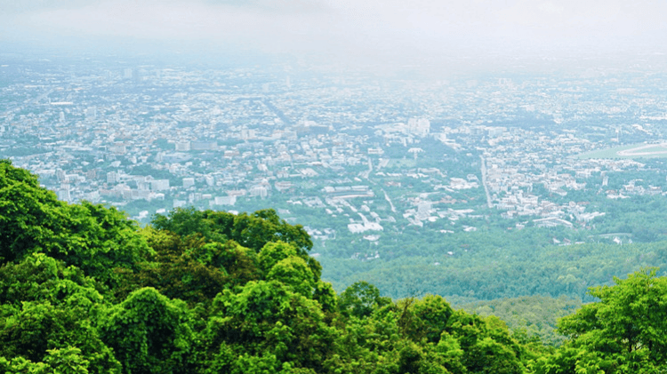 25人赴泰國(guó)旅行訂機(jī)票后退訂遭拒，旅行社回應(yīng)：臨時(shí)團(tuán)隊(duì)票不退不改簽