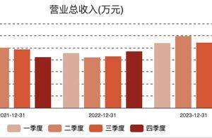 AI视觉领域需求强劲 虹软科技预计2024年Q4营收、净利创近三年单季度新高