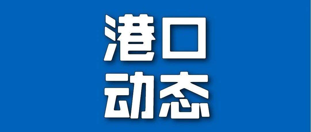 新能源车过海购票攻略→