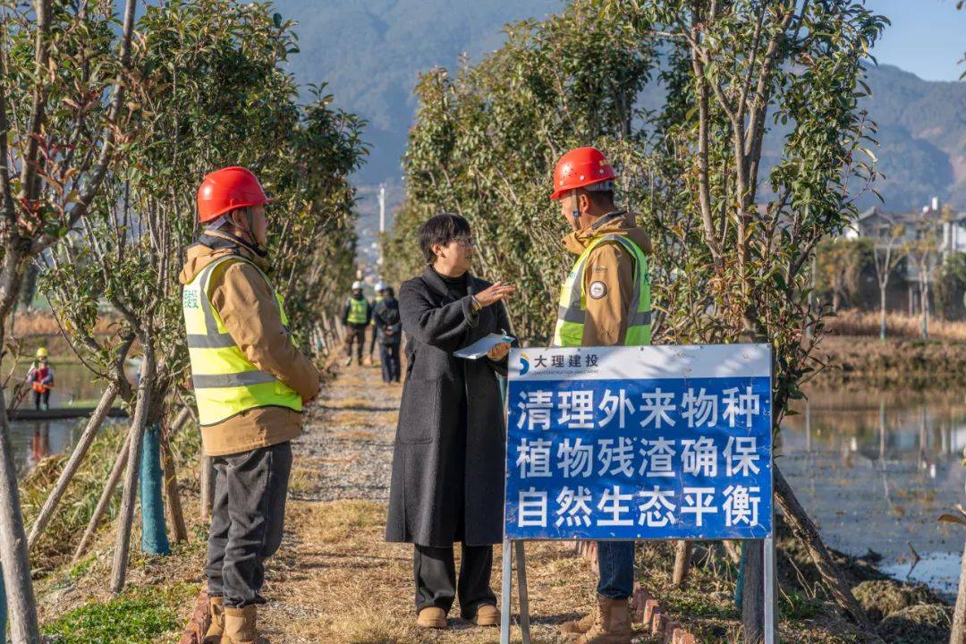 美嘉体育官网抓实水生植物打捞清理洱源县保护水质在行动(图7)