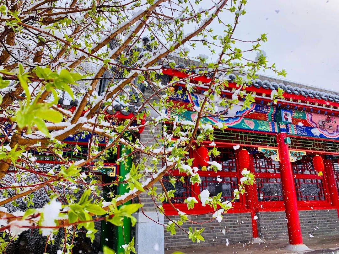 节气 | 今日大寒，年味渐浓迎新春！