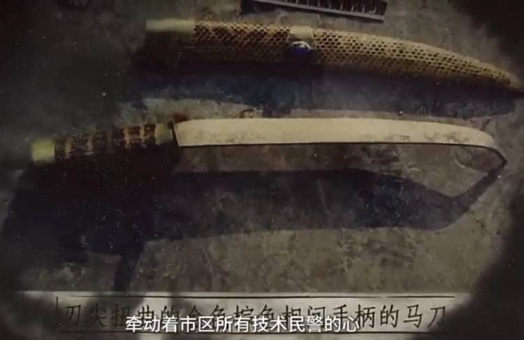 城建局局长家中遇害，警方追凶29年，一枚指纹锁定嫌疑人