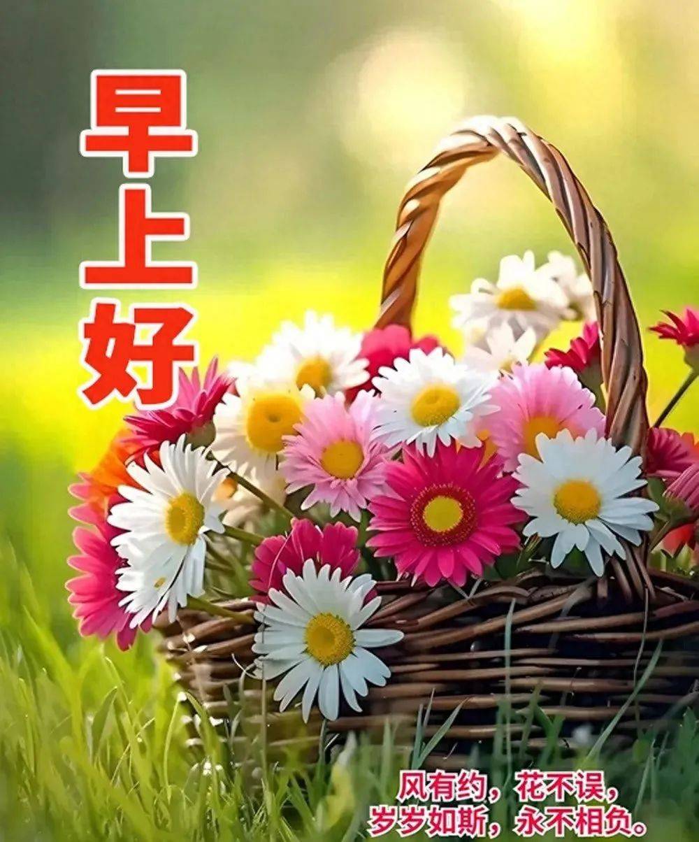 真诚的祝愿你万事顺意，快乐相随，天天都有好心情，早安！_搜狐网