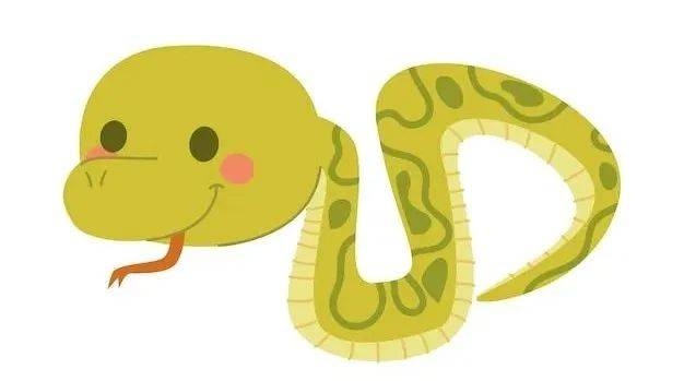 “蛇年”不能翻译成snake year?!正确说法是……_in_the_python