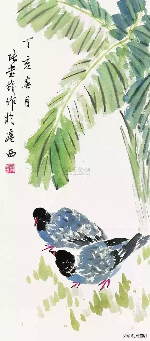 国画入驻白宫第一人,徐悲鸿称其画鸽"古今第一"!