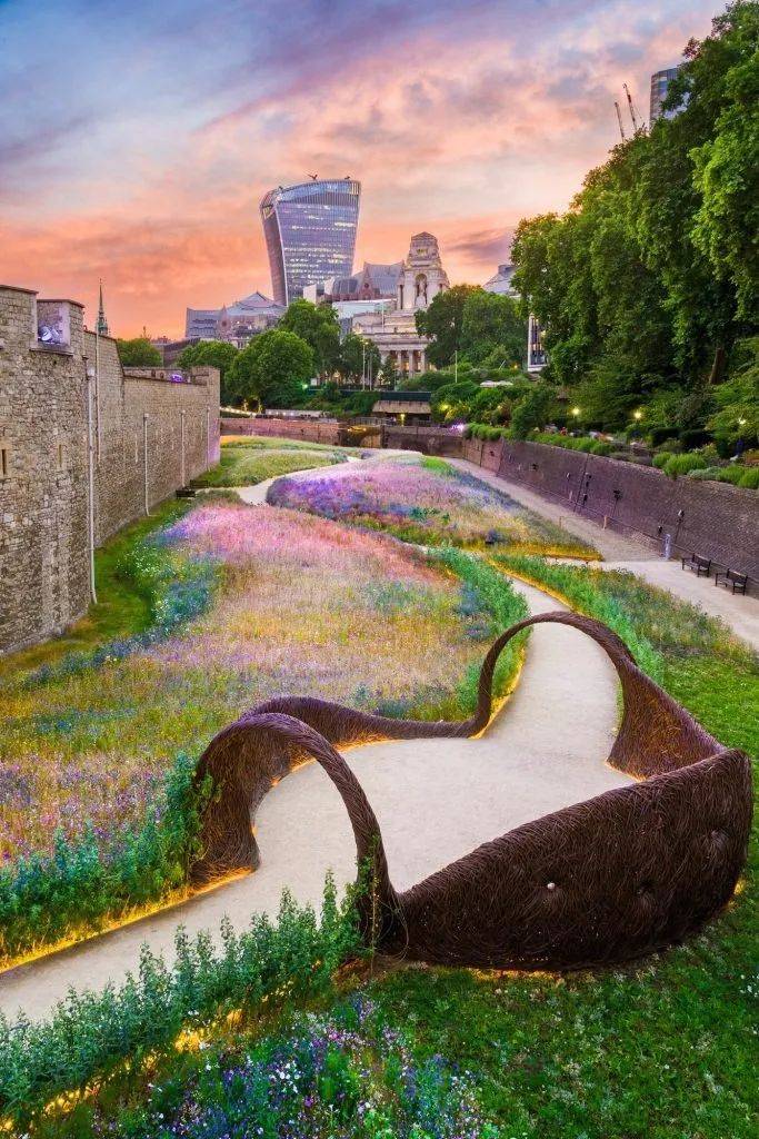 nigel dunnett 的自然主义种植探索