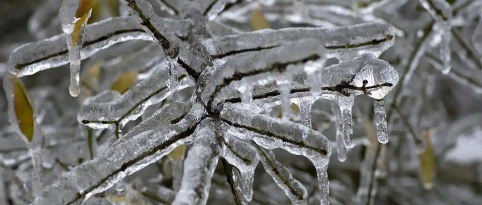 冷҈冷҈冷҈҈ 寒潮来袭！冻雨、雨夹雪强势登场，这些路段受影响→ 夜间 天气 白天