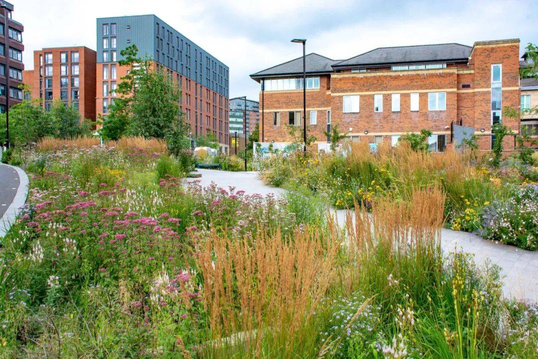 nigel dunnett 的自然主义种植探索