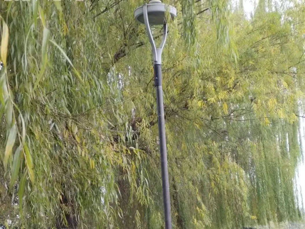蛇年启程城市家果博具焕新颜(图3)