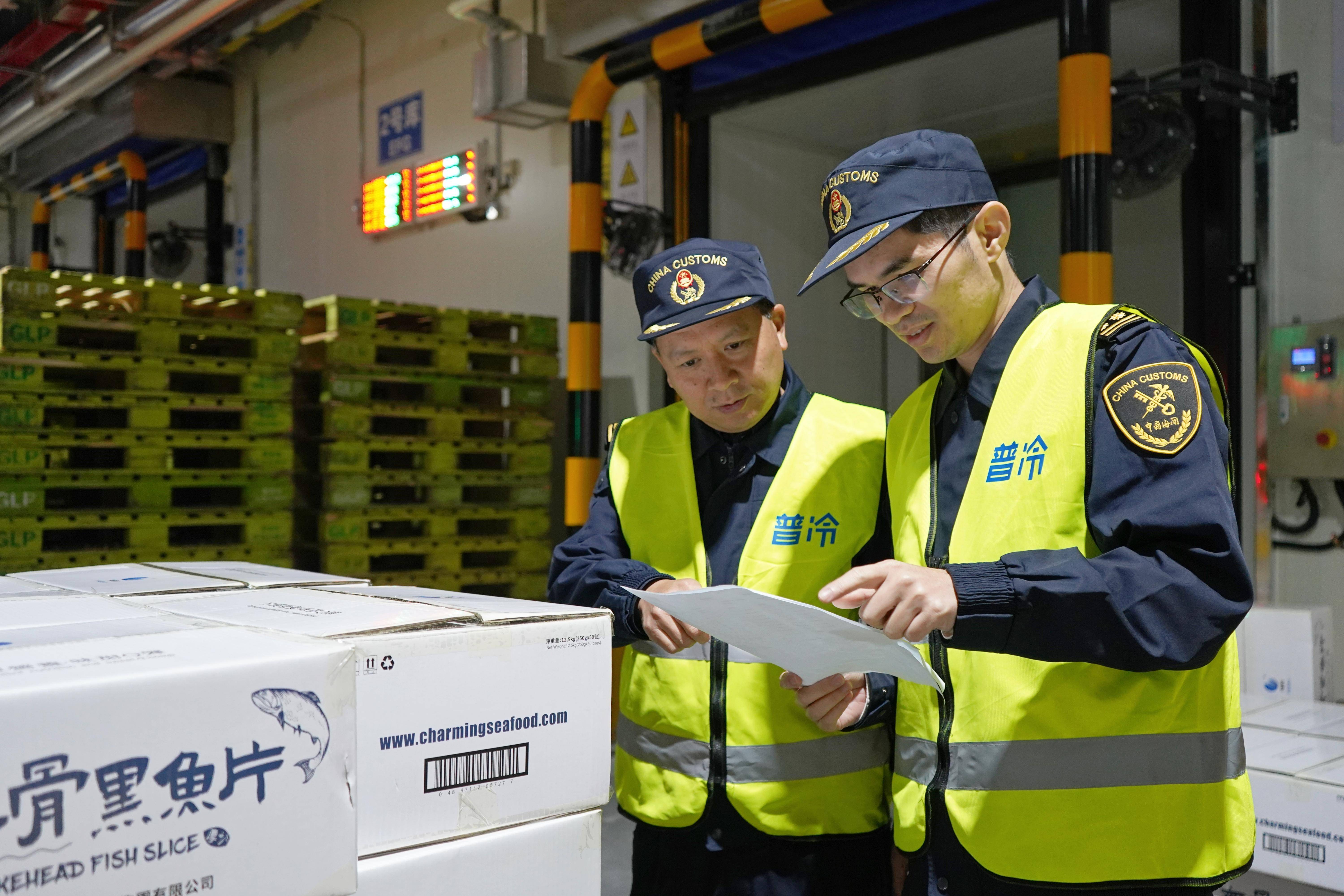 冷冻水产港口通关与冷链集装箱（示意）