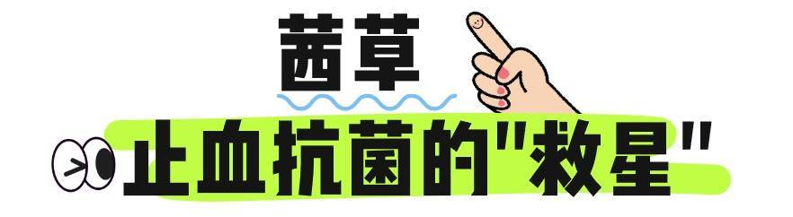 申公豹“代购药单”火了，中医直呼内行！医生提醒→